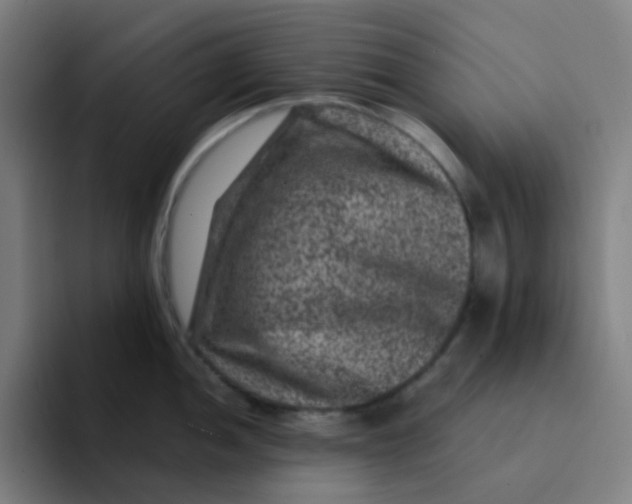 X0000094181052200711161724