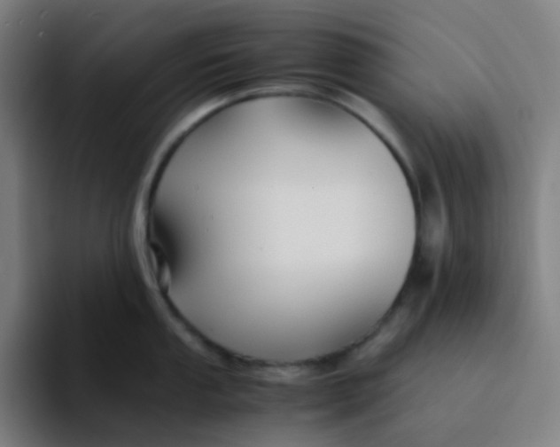 X0000094181053200711161724