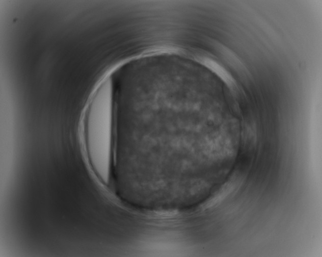 X0000094181055200711161724