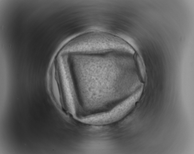 X0000094181056200711161724