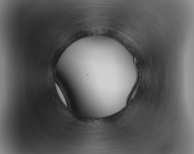 X0000094181058200711161723