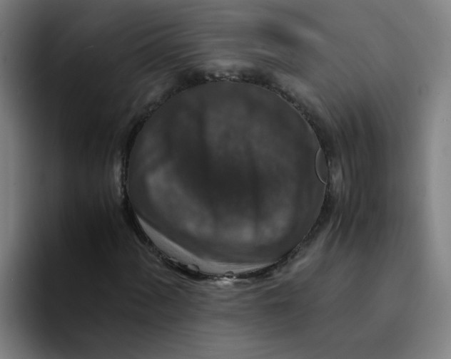 X0000094181060200711161723