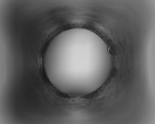 X0000094181061200711161723