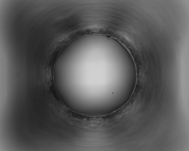 X0000094181062200711161723