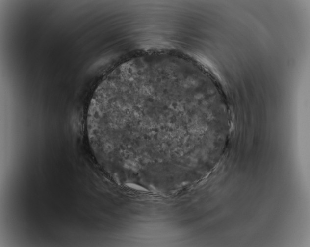 X0000094181063200711161723
