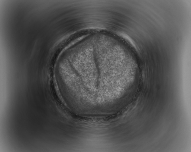 X0000094181064200711161723