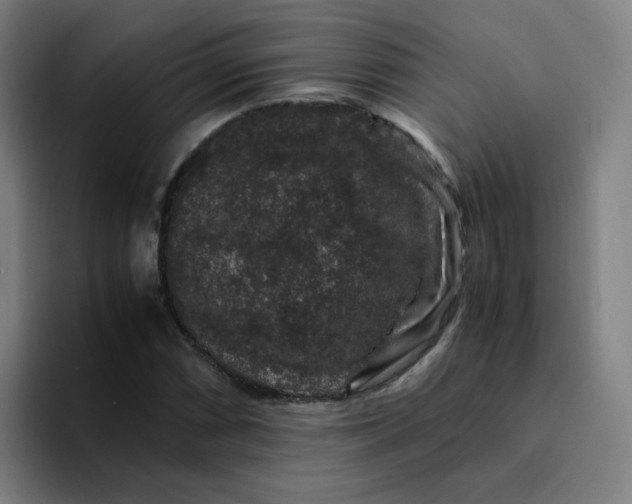 X0000094181066200711161723
