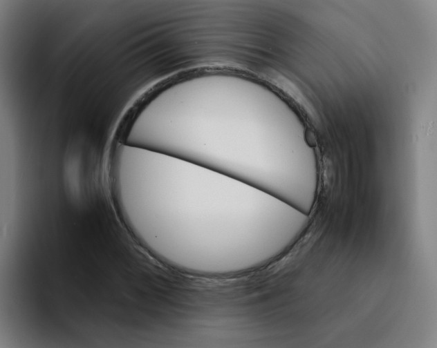 X0000094181068200711161723