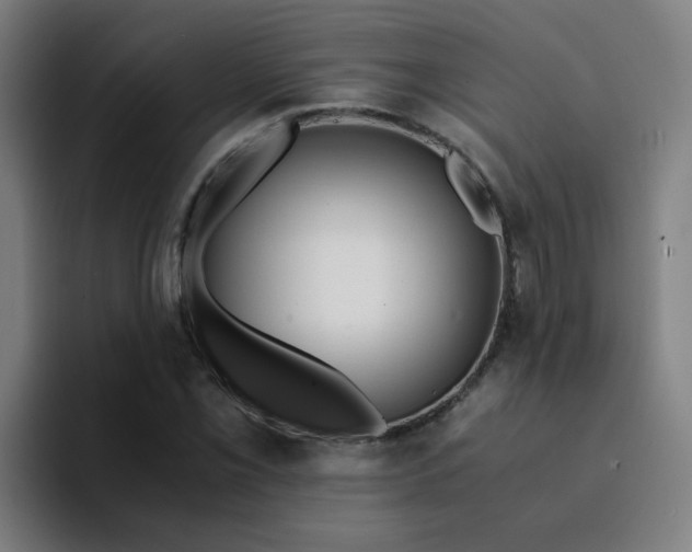 X0000094181069200711161723