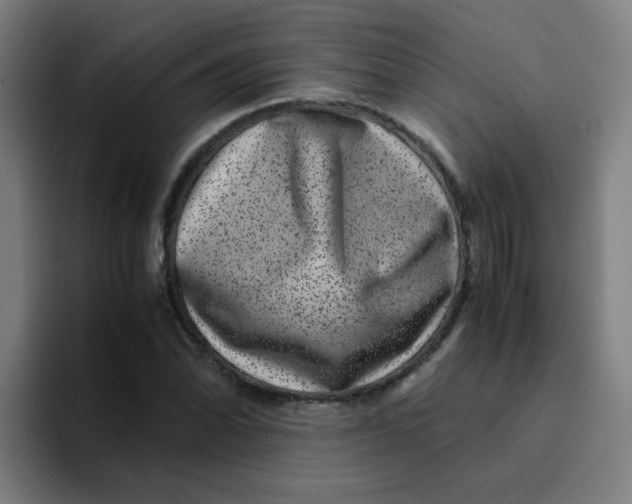 X0000094181070200711161723
