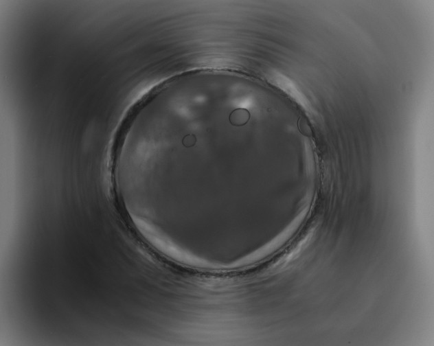 X0000094181071200711161723