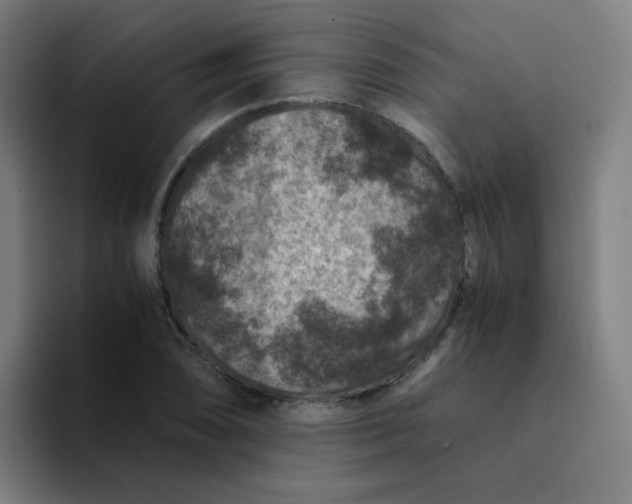 X0000094181074200711161723