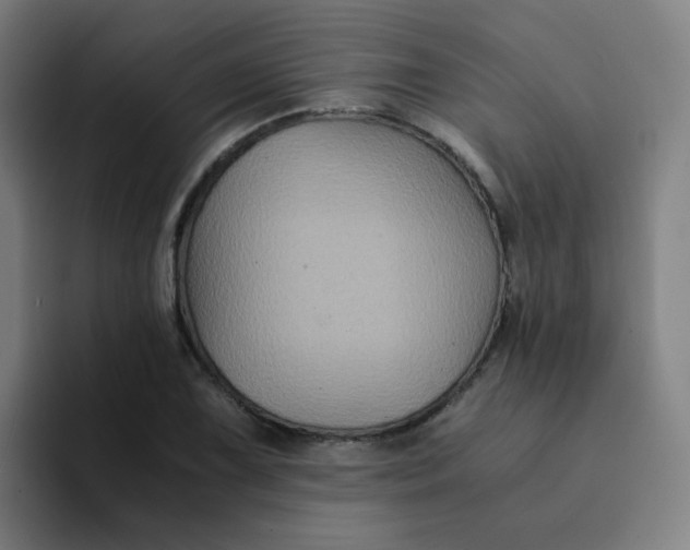 X0000094181075200711161723