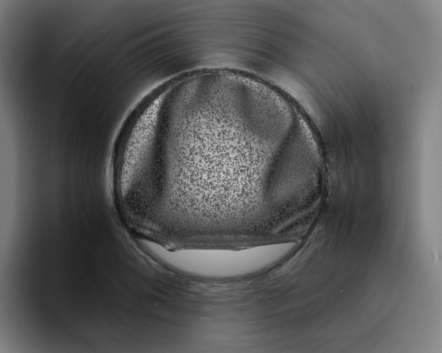X0000094181076200711161723