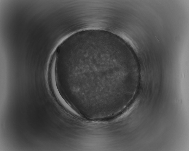 X0000094181077200711161723