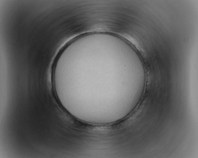 X0000094181078200711161723