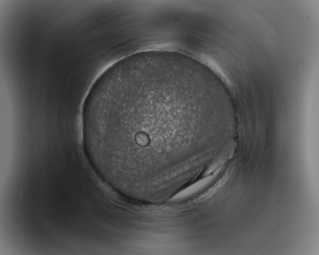 X0000094181079200711161723