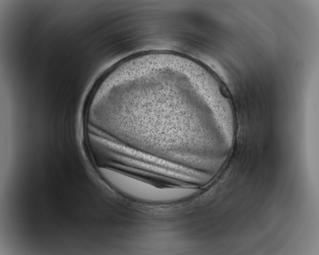 X0000094181080200711161723