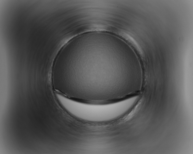 X0000094181081200711161723