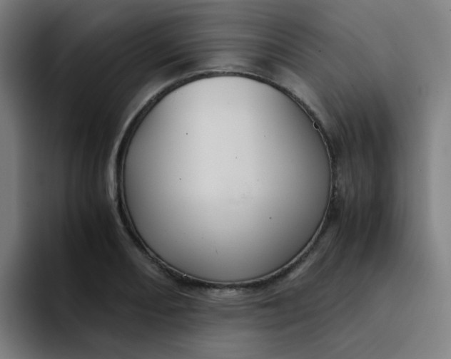 X0000094181082200711161723