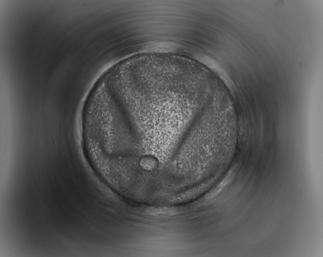 X0000094181083200711161723