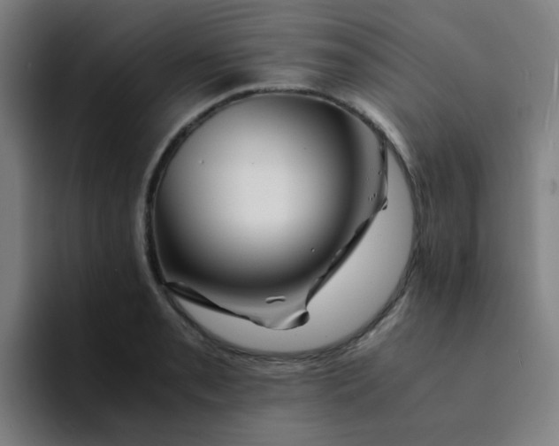 X0000094181085200711161723