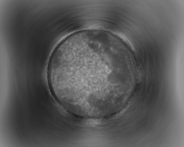 X0000094181086200711161723