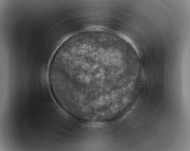 X0000094181090200711161723