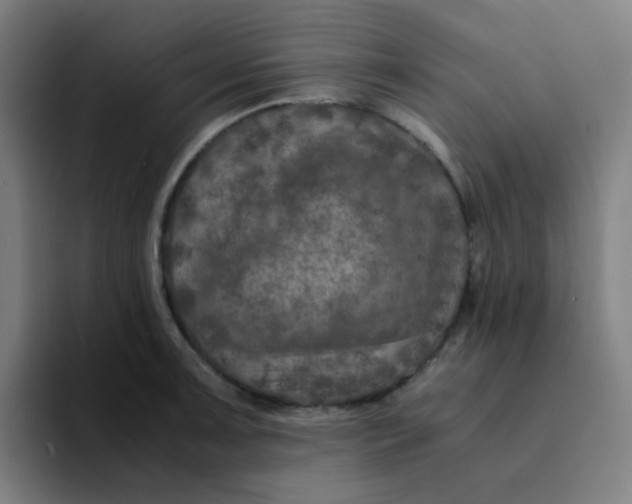 X0000094181091200711161723