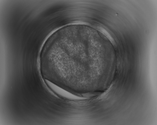 X0000094181092200711161723