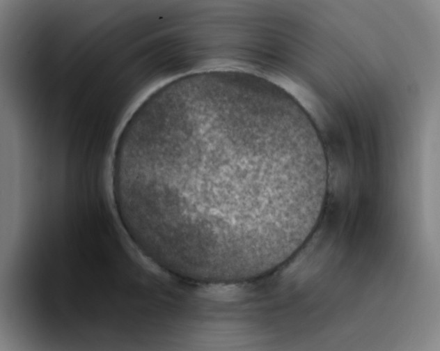 X0000094181094200711161723