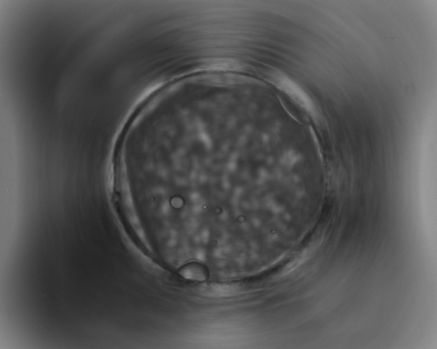 X0000094181095200711161723