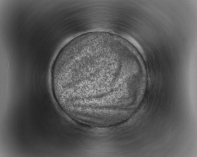 X0000094181096200711161723