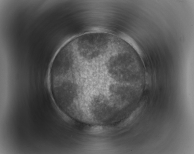 X0000094181098200711161723