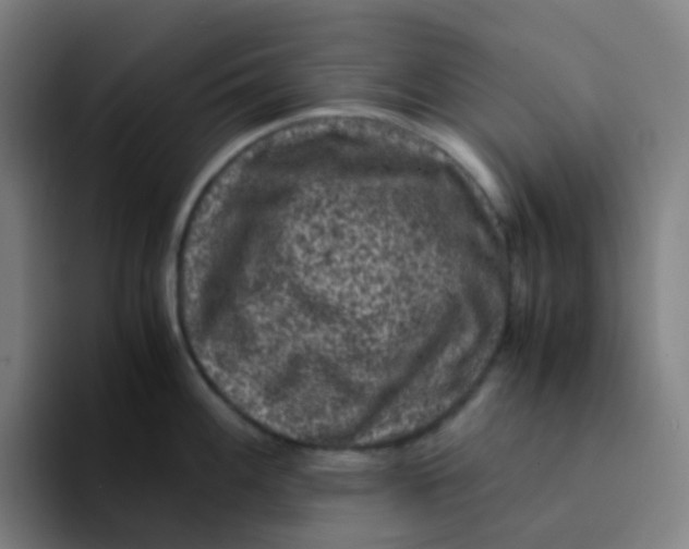X0000094181100200711161723