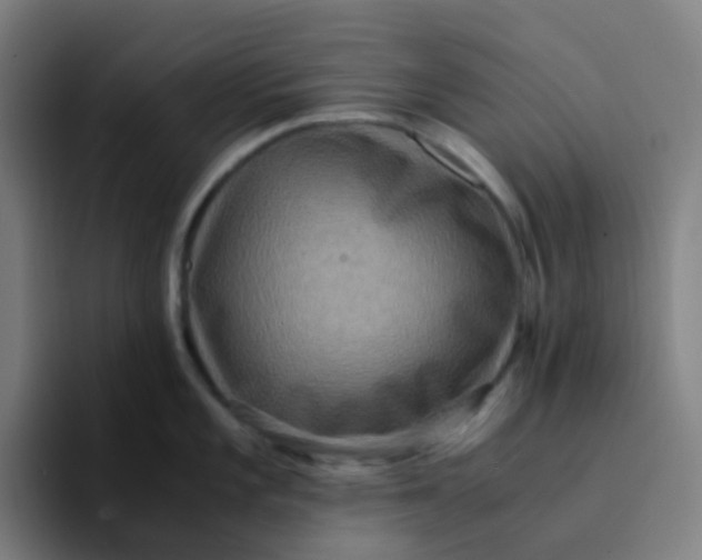 X0000094181101200711161723