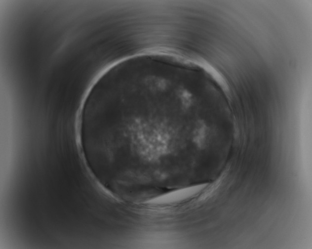 X0000094181102200711161723