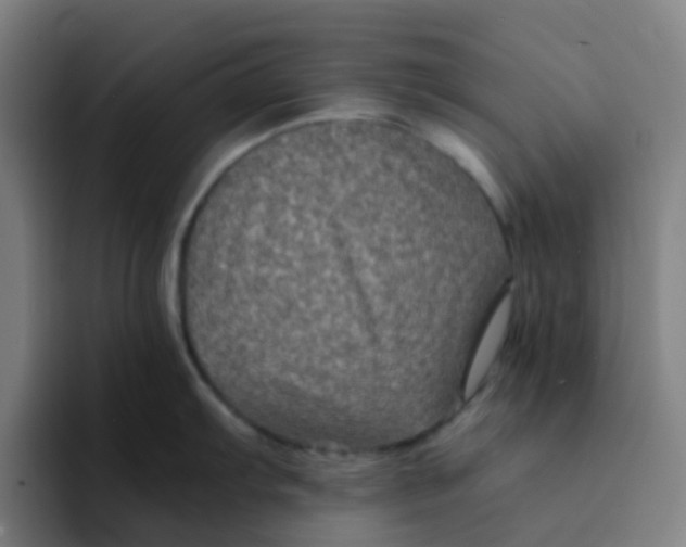 X0000094181103200711161723