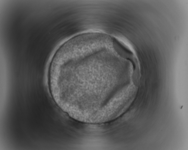 X0000094181104200711161723
