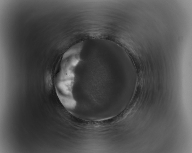 X0000094181106200711161722