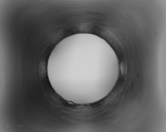 X0000094181107200711161722