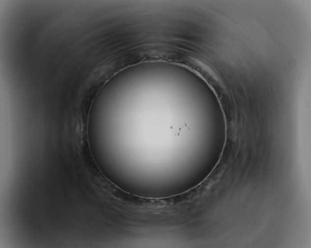 X0000094181111200711161722