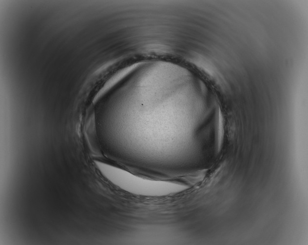 X0000094181112200711161722