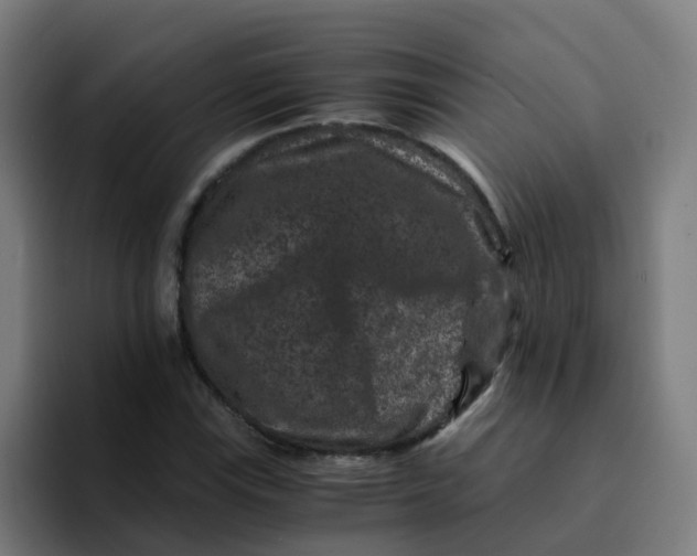 X0000094181115200711161722