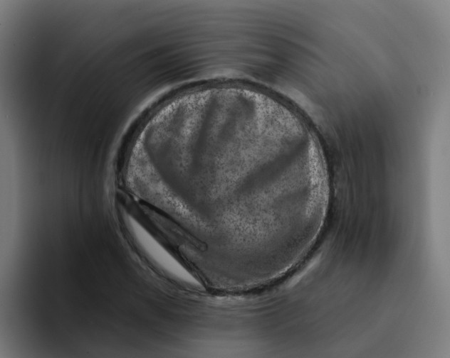 X0000094181118200711161722