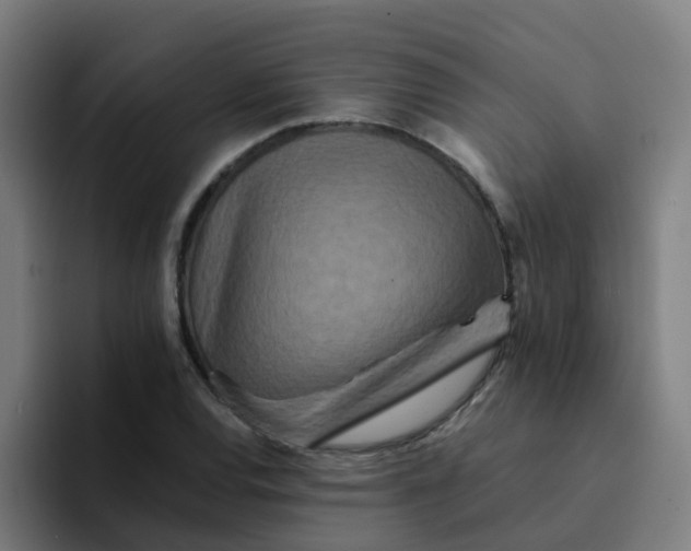 X0000094181120200711161722