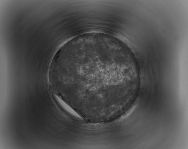 X0000094181121200711161722