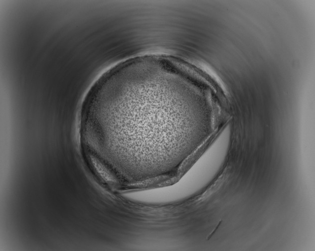 X0000094181124200711161722