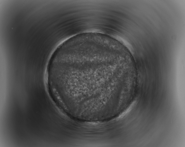 X0000094181125200711161722
