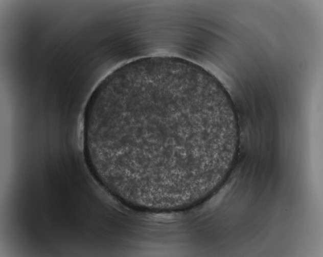 X0000094181126200711161722